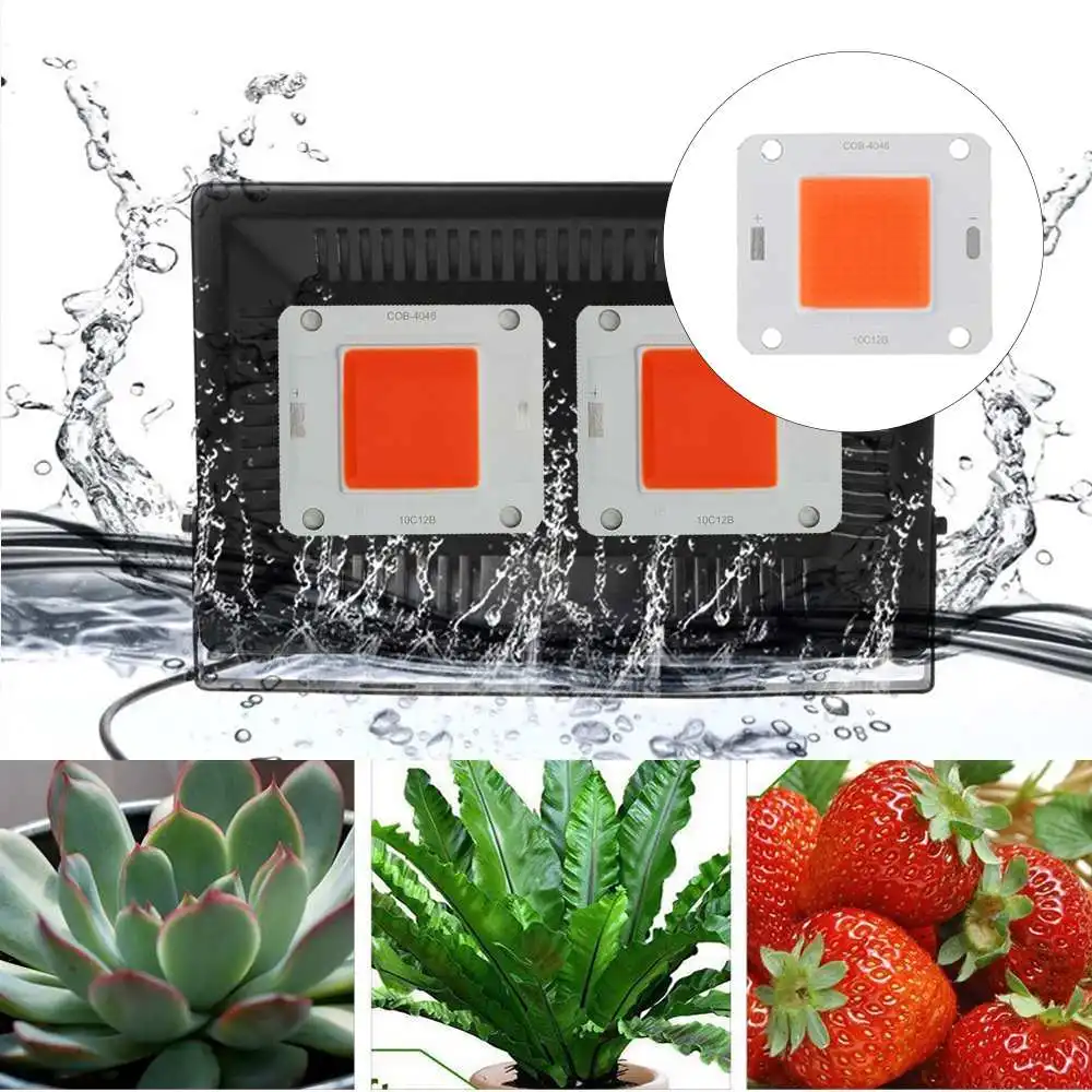 

CLAITE 20W 30W 50W cob led grow light Full Spectrum 380-840NM COB Plant Grow Light LED Chip DC30-40V led grow light