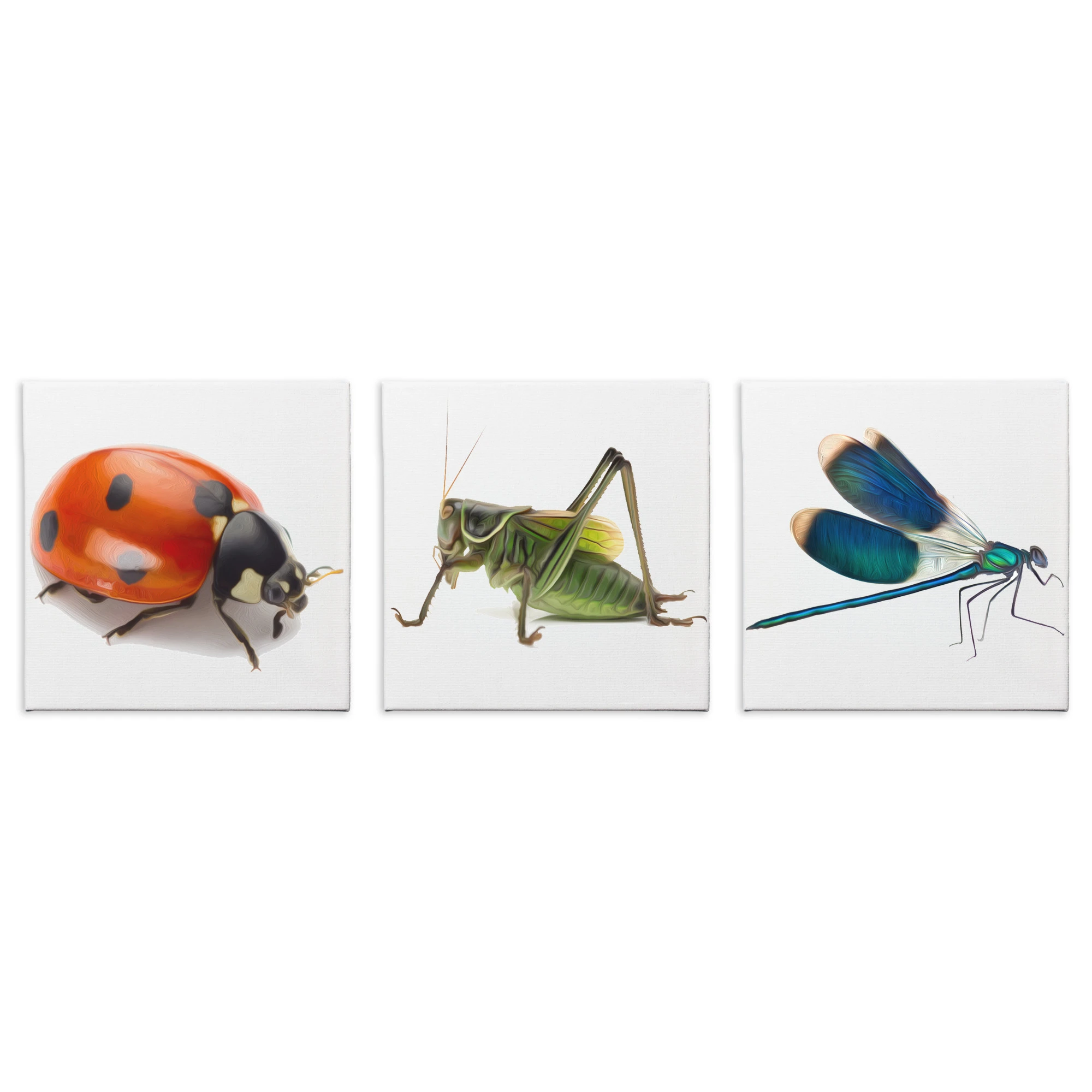 Modern Insect Art 𧮬kyard Bugs' Painting - Brushstroke Giclee Print on Canvas Lady Bug Grasshopper Dragon Fly Pa... | Дом и сад