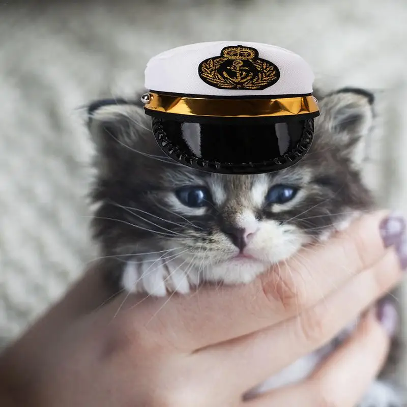 Многостильная модная Pet шляпа для костюмов собака кошка нарядная Праздничная фотография шапка для собак реквизит украшение для ролевых игр