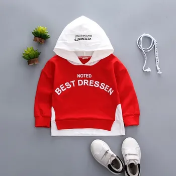 Spring Autumn Children Clothes Baby Boys Girls Cotton Leisure Hooded Sweatshirts Kids Letter Blouse Hoodies Tops For 0-5 Years 5