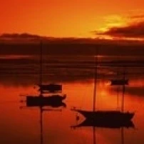 Boats in a bay Morro Bay San Luis Obispo County California USA Poster Print (18 x 7) | Дом и сад