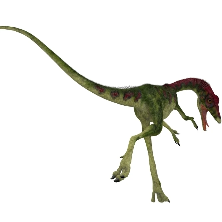 Rear view of Compsognathus dinosaur Poster Print (16 x 12) | Дом и сад