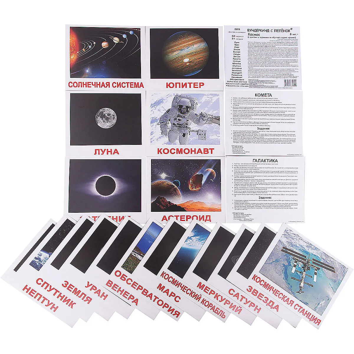 Buy Books Vunderkind s pelenok 7182396 cards for children teaching set books for kids classes educational game girls and boy MTpromo