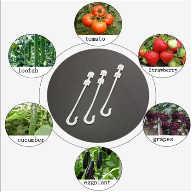 Растительная лоза держатель Клетки для растений поддерживает пластиковые фиксированные зажимы винограда клубники