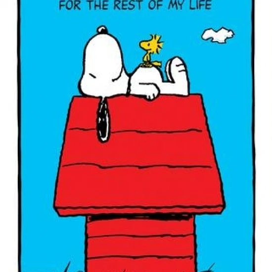 Vegas pete wallpaper. Could lie. Could lie. Джо роган фразы на английском. A lie can travel halfway around the world while.