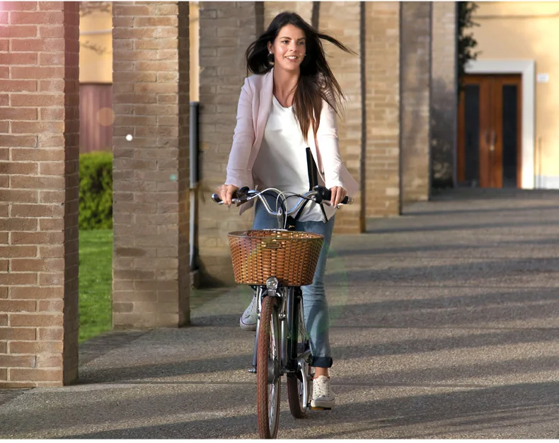 Perfect Electric Bicycle E Bike 2 Wheels Electric Bicycle Samsung Lithium Battery 250W Electric Scooter For Adults With Seat/Basket 2 Perfect Electric Bicycle E Bike 2 Wheels Electric Bicycle Samsung Lithium Battery 250W Electric Scooter For Adults With Seat/Basket 2