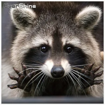 

EverShine Diamond Mosaic Raccoon Full Square Diamond Painting Cross Stitch Diamond Embroidery Animals Picture Of Rhinestones