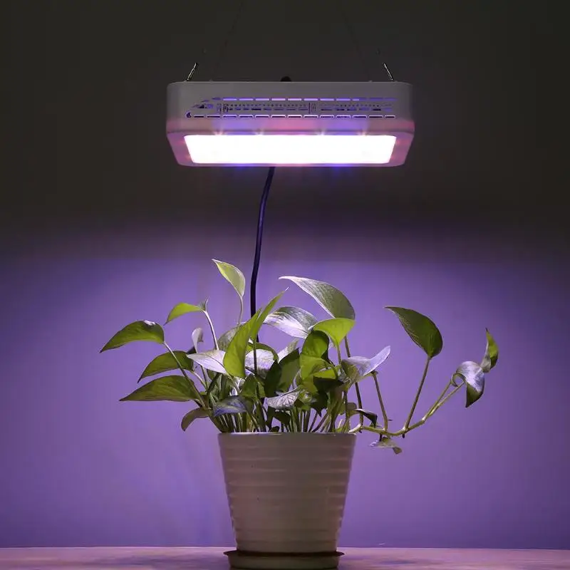600 W полный спектр светодиодный завода светать садовые овощи растет лампы для комнатных растений рост рассады и цветок рост