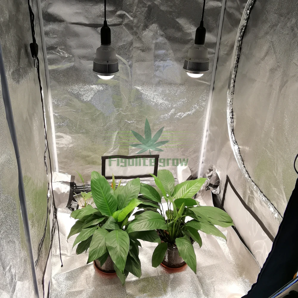 Figolite grow 100W полный спектр COB CXB3590 светодиодный светильник для выращивания E27/E26 лампа замена HPSL 400W