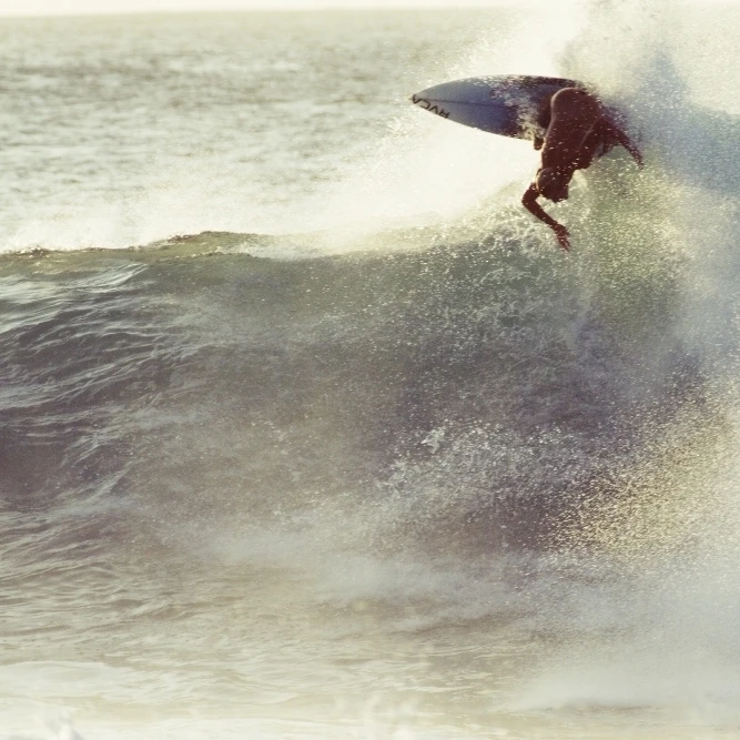 Hawaii Oahu North Shore Surfer Carving Wave. Poster Print (17 x 11) | Дом и сад