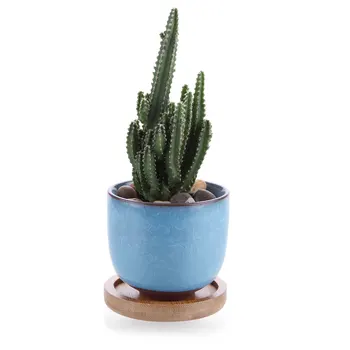 

Ceramic Ice Crack Zisha Raised Serial Succulent Cactus Plant Pot Flower Pot Planter Light Blue With Bamboo Trays