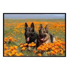 Фото на заказ! Алмазная картина такса Стразы полное алмазное сверло для квадратных отверстий вышивка животное Милая собачка вышивка крестиком узор