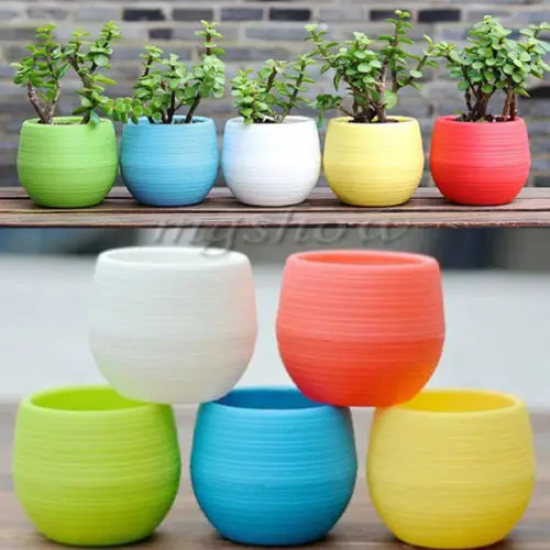 Brand Mini Colourful Round Plastic Plant Flower Pot Garden Home Office Decor Planter 6 Colours