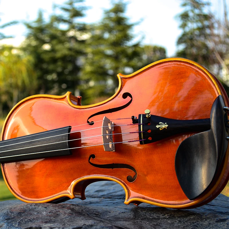 

Professional Violin Christina V05A violino 4/4 handmade Maple Wood Musical Instruments Fiddle Case Bow Rosin Violino Violon