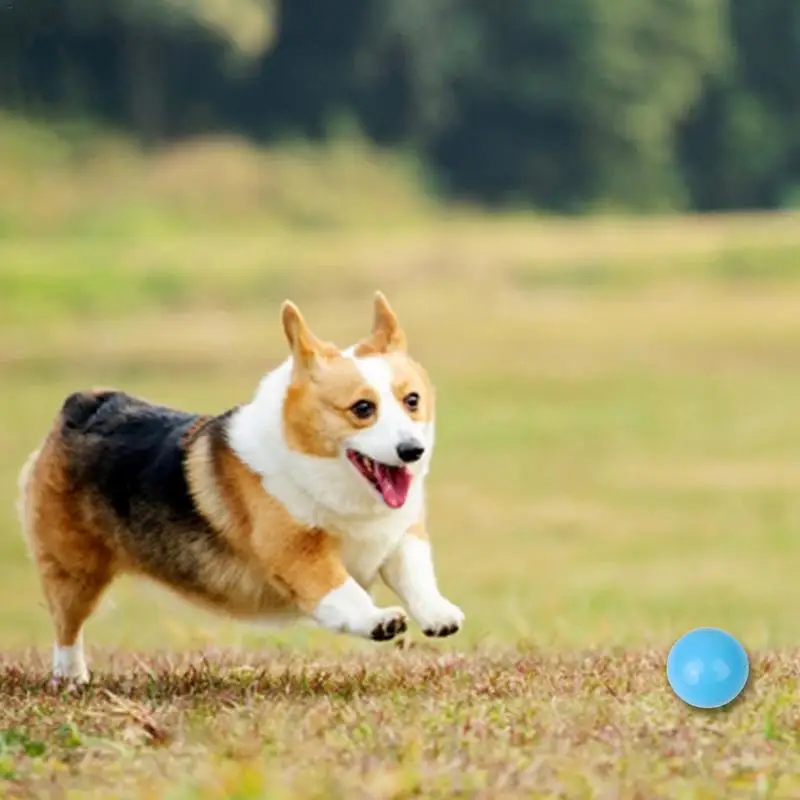 

Dog Toy Bite Resistant Nontoxic Natural Rubber Solid Ball Elastic Pet Toy Ball