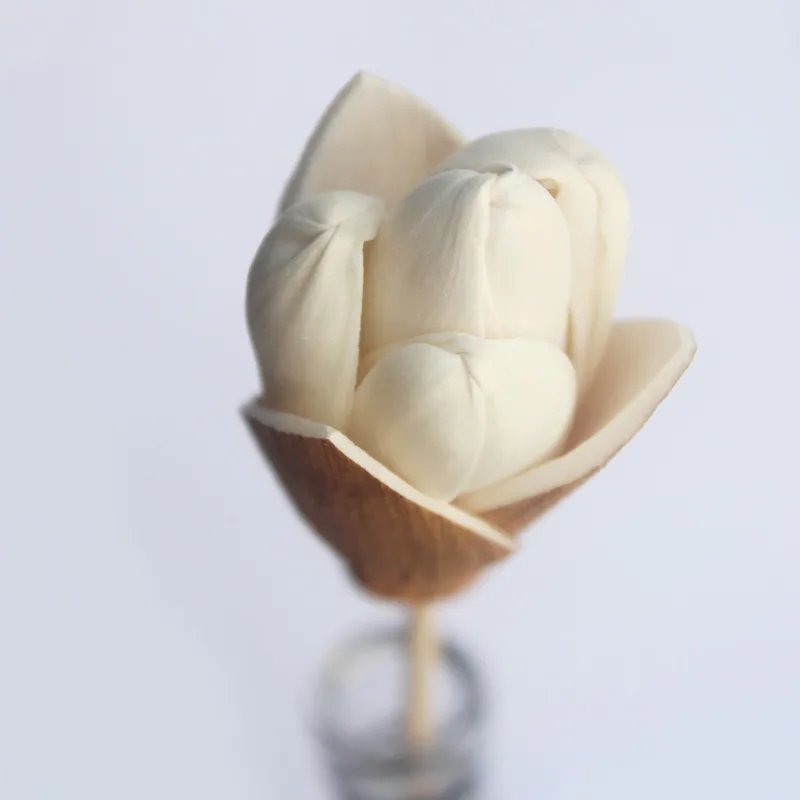 Lychee Life дикая Лилия Цветок аромат диффузор Замена заправка палочка для дома
