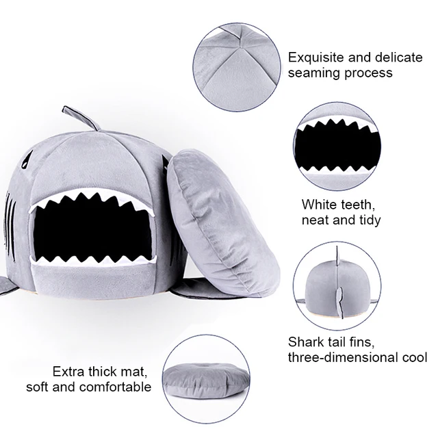 Shark Shaped House for Cats 4