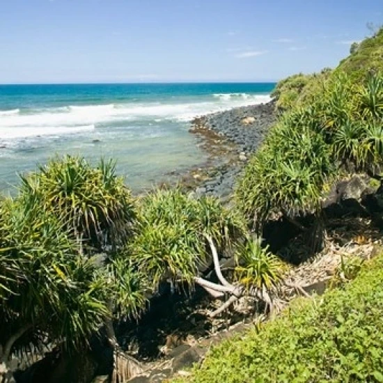 Australia Gold Coast Burleigh Head NP beach Poster Print by Walter Bibikow (18 x 26) | Дом и сад