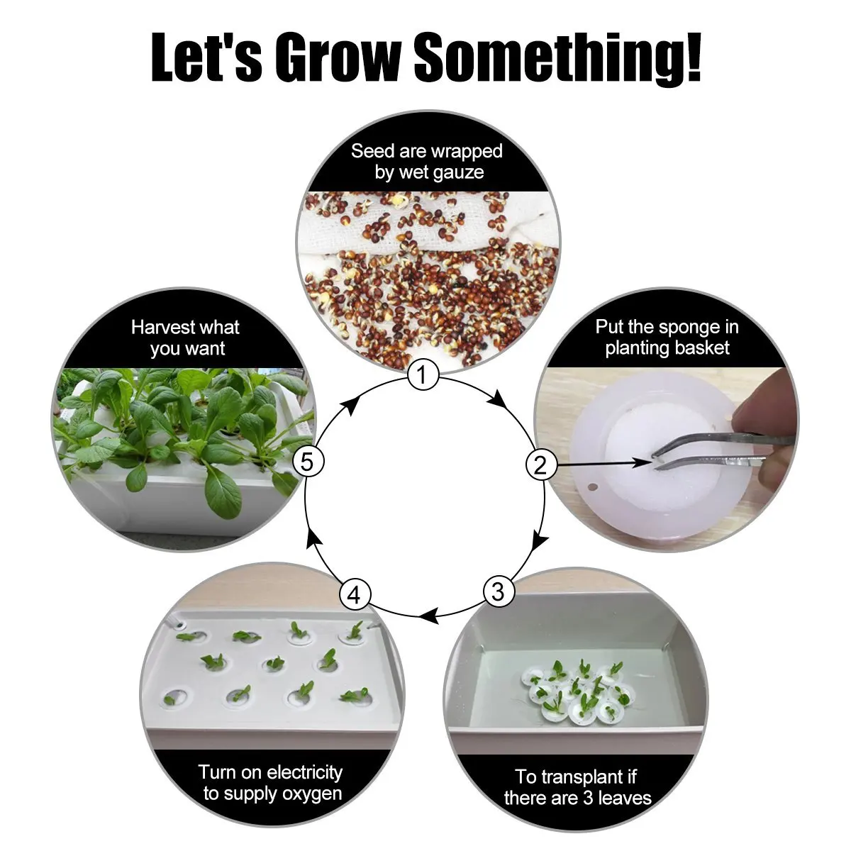 Plant Site 12 Holes Hydroponic Garden Pots Planters System Indoor Garden Cabinet Box Grow Kit Bubble Nursery Pots Plant Site 12 Holes Hydroponic Garden Pots Planters System Indoor Garden Cabinet Box Grow Kit Bubble Nursery Pots