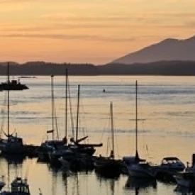 Закат на Tofino Harbor Ванкувер остров Британская Колумбия плакат печать Мэтт Freedman
