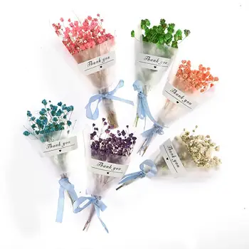 

6PCS Mini Starry Natural Dry Flower Wedding Home Decoration DIY Craft Sky Stars Flower Photo Props