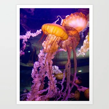 

SepYue DIY Diamond Painting Full Square 5D Paint with Diamonds Mosaic Jellyfish Lamp Diamond Painting Embroidery Rhinestone