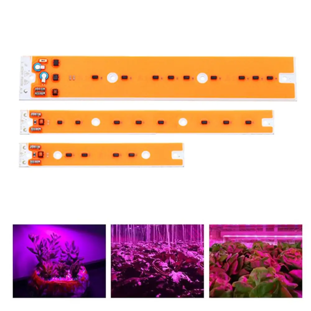 

CLAITE Full Spectrum LED Grow Light COB Chip AC110V/220V 30W 50W 80W Flood Light Iodine-tungsten Lamp LED Plant Grow Light Chip