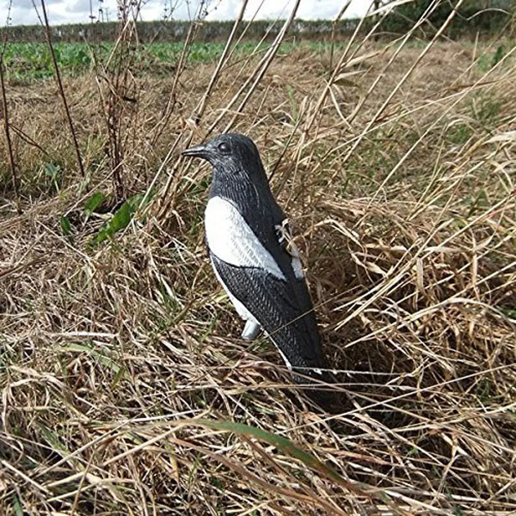 

Magpie Decoy Hunting Bait Shooting Trap Pest Control Garden Scarer Scarecrow