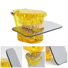 1 Piece Dental ntraoral Occlusal Dental Oral Clinic Photographic Mirror Reflector Double-Side Oral Health Care For Dental dental dentist oral clinic 4in1 orthodontic intraoral stainless steel photographic mirror reflector