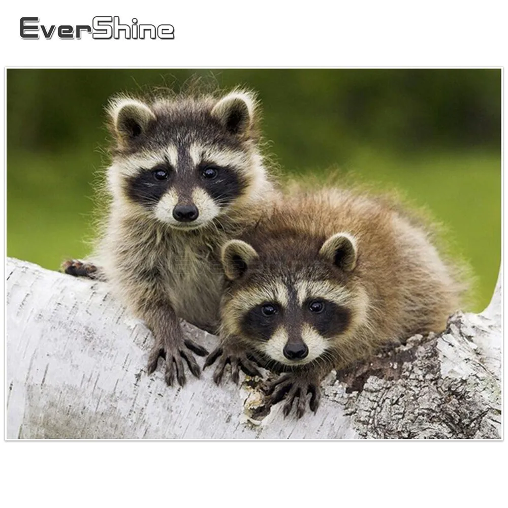 EverShine Diamond Embroidery Raccoon Painting With Diamonds Full Round Mosaic Animals Picture Of Rhinestones Wall Decor | Дом и сад