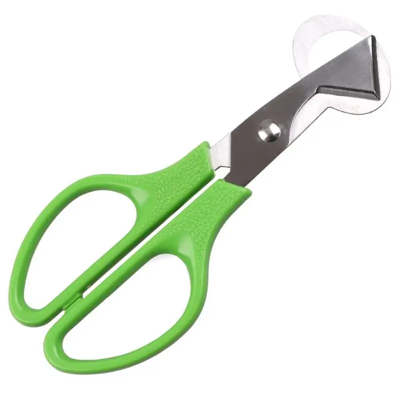 

Stainless Steel Cut Whisk Egg Slicers Pigeon Quail Egg Scissor Bird Opener Kitchen Eggshell Cutter Tool Clipper