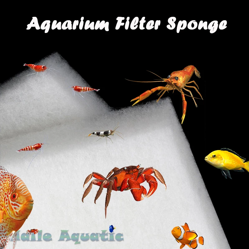 Haile Aquatic Brand New Durable Filter Sponge Foam Pad Aquarium Wool