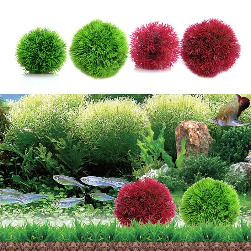 

Aquarium Moss Fish Aquarium Alive Live Fishes Plants Aquaristics Shrimp Aquarium Moss Ball Water Grass Shrimp Water Grass Balls