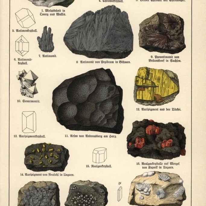 Металлы включая молибденит мышьяк Orpiment Etc плакат Print By Florilegius Mary Evans (18X24) | Дом и сад