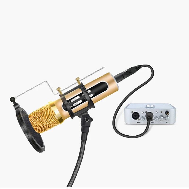 XLR Cable Karaoke Microphone Sound Cannon Cable Plug XLR Extension Mikrofon Cable for Audio Mixer Amplifiers XLR Cord Xlr Audio XLR Cable Karaoke Microphone Sound Cannon Cable Plug XLR Extension Mikrofon Cable for Audio Mixer Amplifiers XLR Cord Xlr Audio