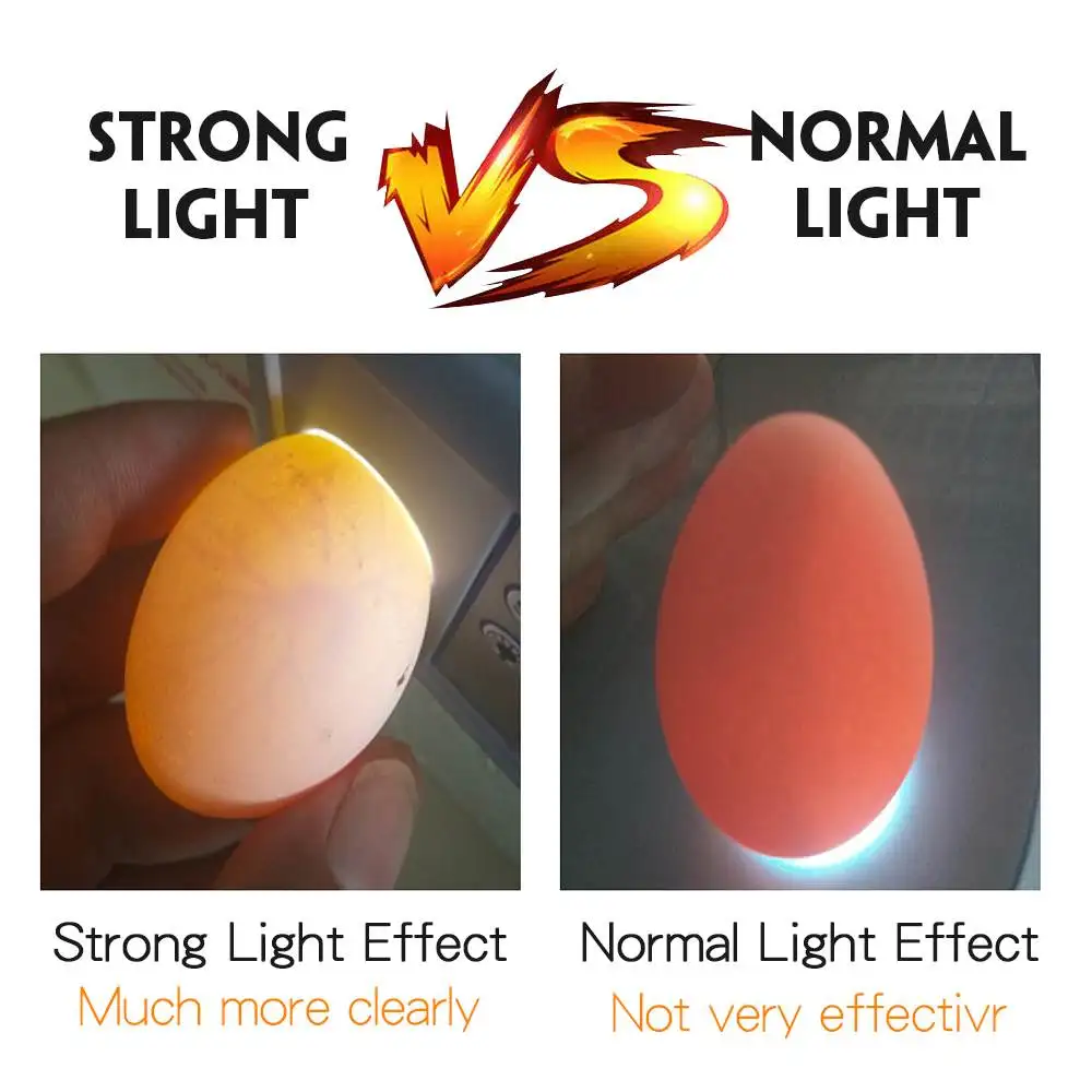 12 Eggs General Mini Automatic LED Digital Eggs Incubator Hatcher Turning Machine Chicken Duck Bird Goose Digital Eggs Incubator 12 Eggs General Mini Automatic LED Digital Eggs Incubator Hatcher Turning Machine Chicken Duck Bird Goose Digital Eggs Incubator