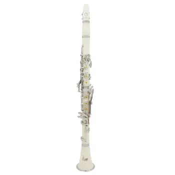 

SLADE Clarinet ABS 17 Key bB Flat Soprano Binocular Clarinet with Cork Grease Cleaning Cloth Gloves 10 Reeds Screwdriver Reed