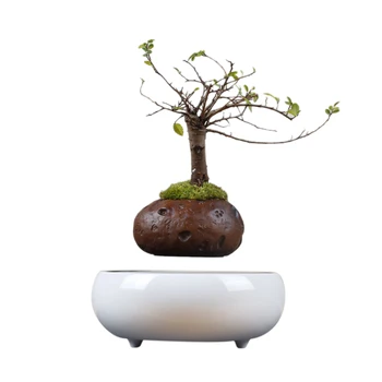 

New Popular Suspended Plant Pot Floating Magnetic Plant with Imitation Ceramic Base for Home Office Garden Decor - EU Plug