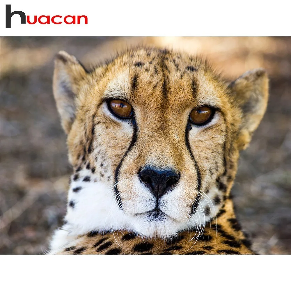 

Huacan Diamond Embroidery Sale Animals Cross Stitch Diamond Painting Leopard Rhinestones Full Square/Round Diamond Mosaic Gift