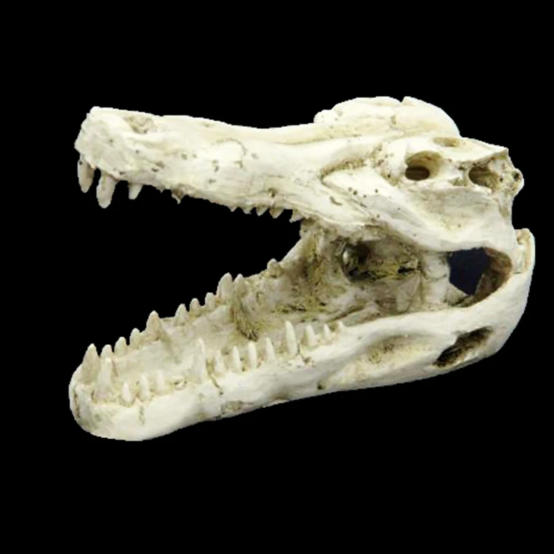 Crocodile Skull Landscade 1 Pcs Resin Reptile Vivarium Aquarium