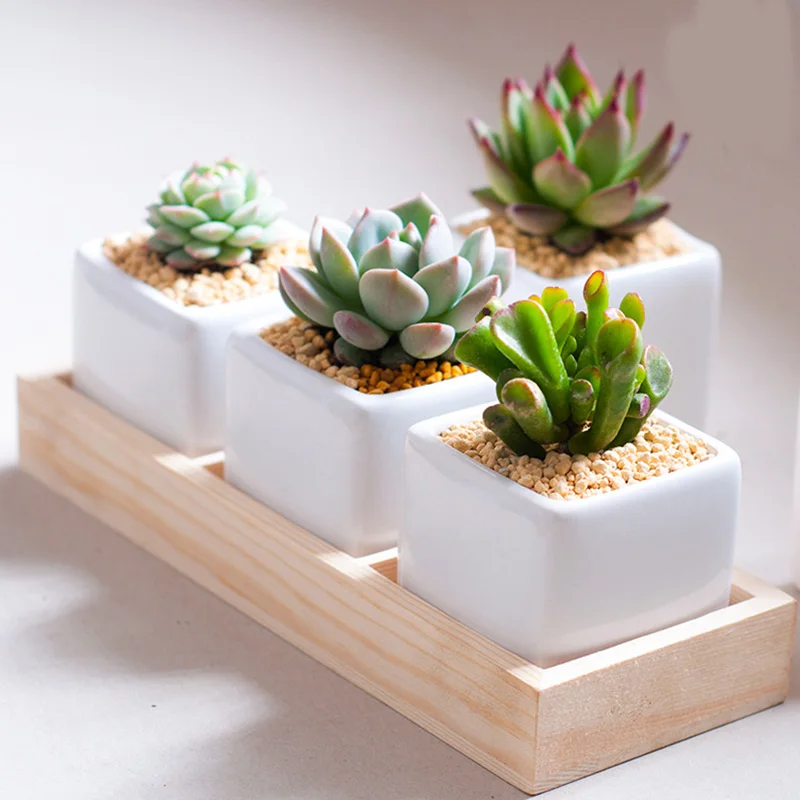 

Wooden Flower Pot Box Tray For Succulent Plant Pot Cactus Planter Flower Bamboo Tray Top Desktop Office Home Decors Supply