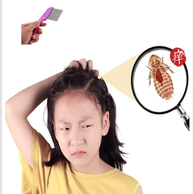 Head Louse Comb