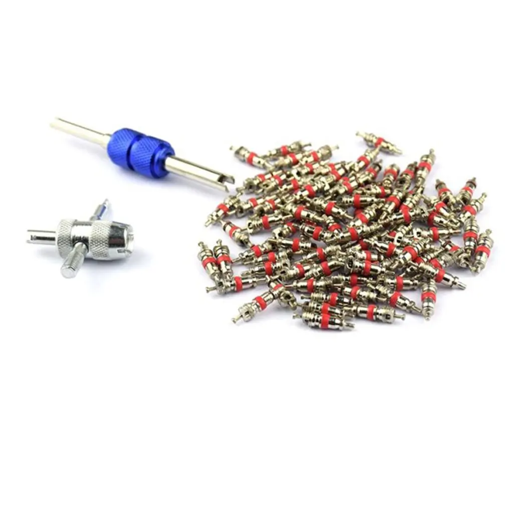 

4 in 1 Tire Repair Tool Aluminum Alloy Dual Head Valve Core Remover Tool with 100pcs Valve Cores Universal Tire Repair Tool