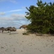 Sunshades on the beach Varadero Matanzas Province Cuba Poster Print (18 x 6) | Дом и сад