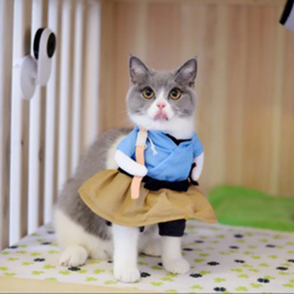 Женский костюм Униформа кошки женская одежда для вечеринки косплея 58|Костюмы| |