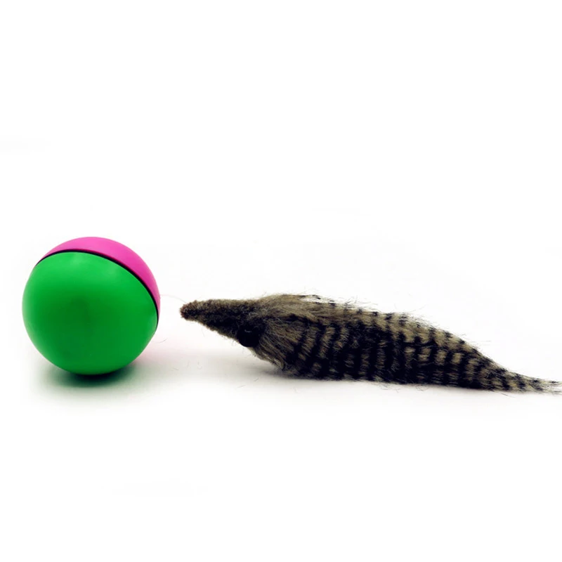 Pet Dog Cat Toys Electric Beaver Weasel Toy Rolling Jump Ball For Puppy Funny Moving Supplies | Дом и сад