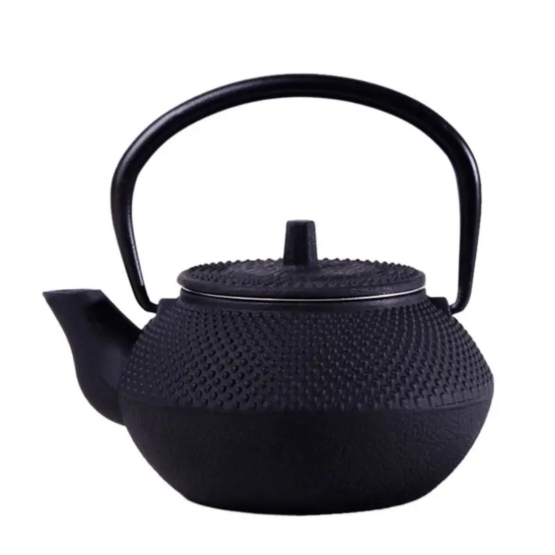 

Style Cast Iron Kettle Teapot Comes With Strainer Tea Pot 300ml (Black)