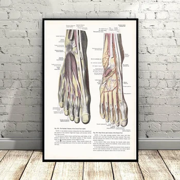 

Print of Foot & Leg Steampunk Illustration Art Canvas Poster Wall Pictures for Living Room No Frame
