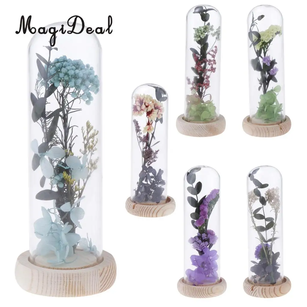 MagiDeal Glass Display Jar Dome Flower Cover Vase with Wooden Base