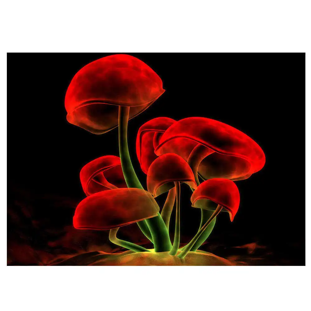 

70*50cm Wall Art Picture Canvas Oil Painting Bright mushroom Print For Living Room Home Decor Picture no Frame